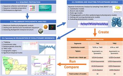 Animal Disease Surveillance in the 21st Century: Applications and Robustness of Phylodynamic Methods in Recent U.S. Human-Like H3 Swine Influenza Outbreaks